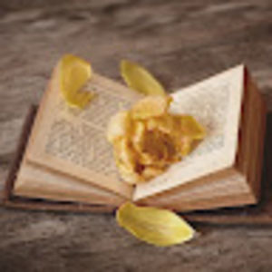 Meet your Posher, Shelly